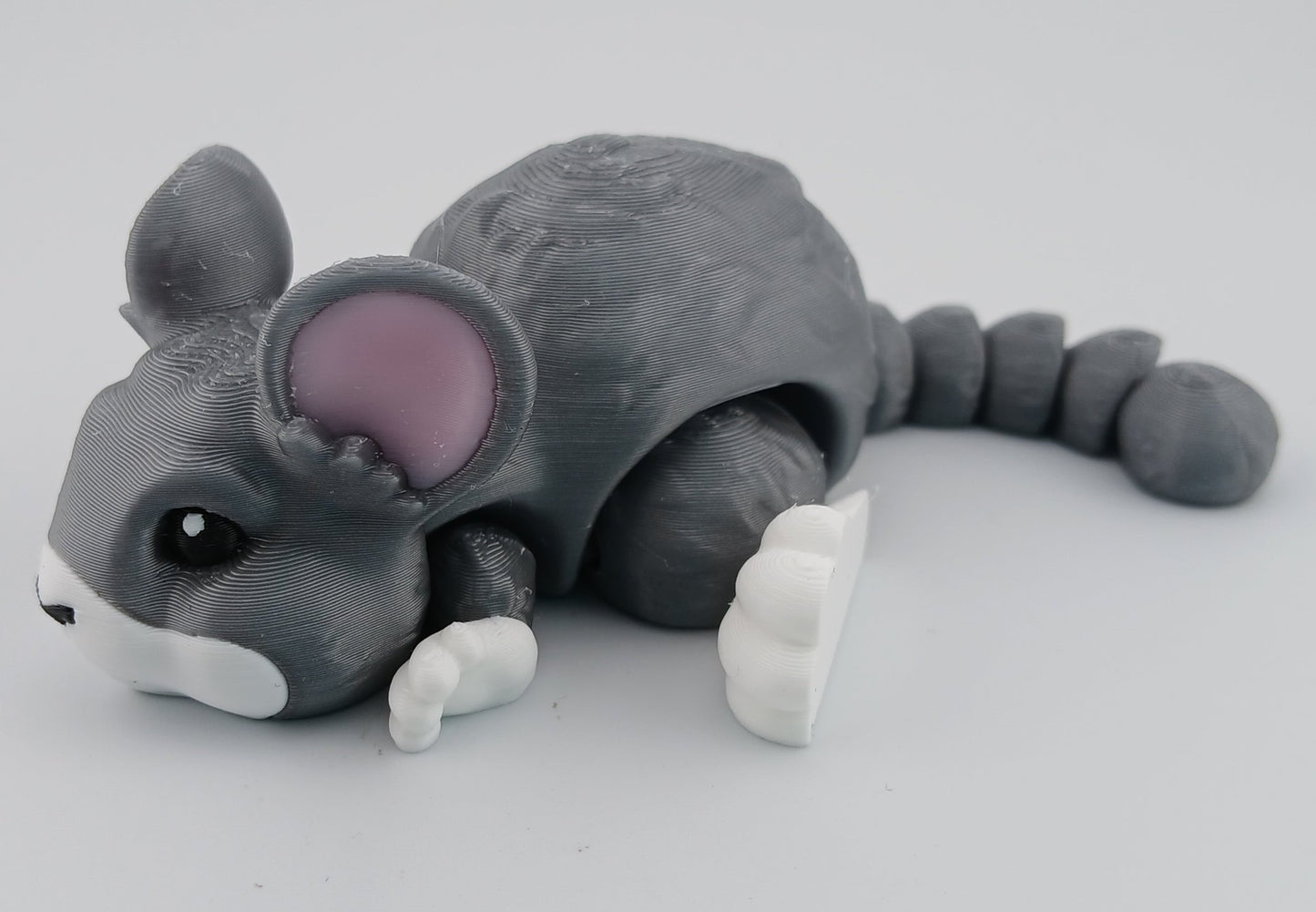 Chinchilla
