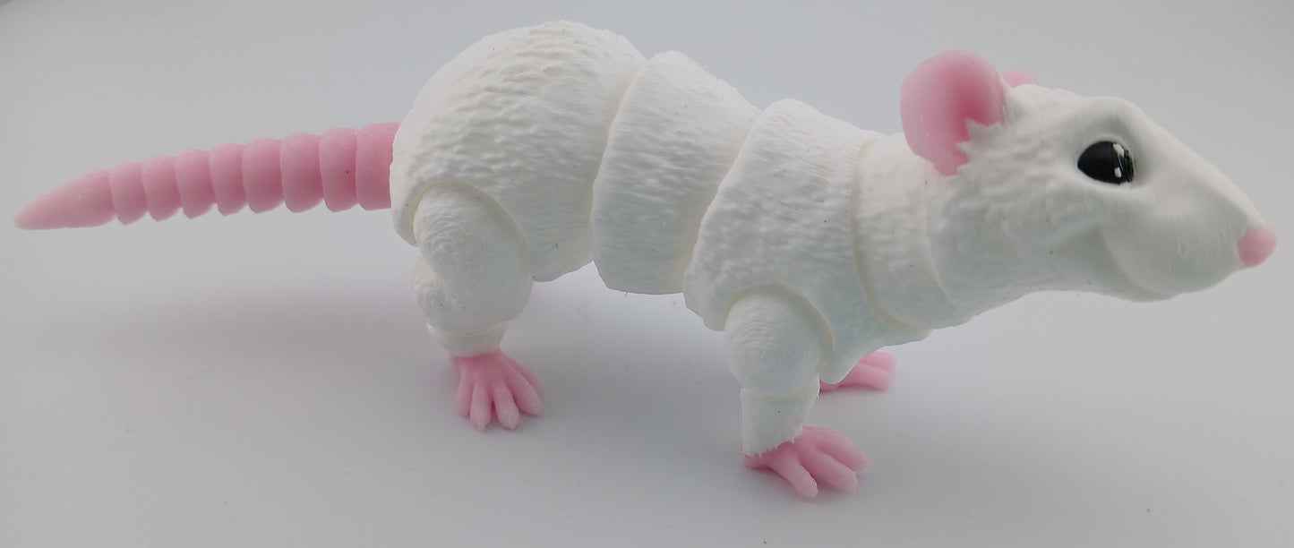 Rat
