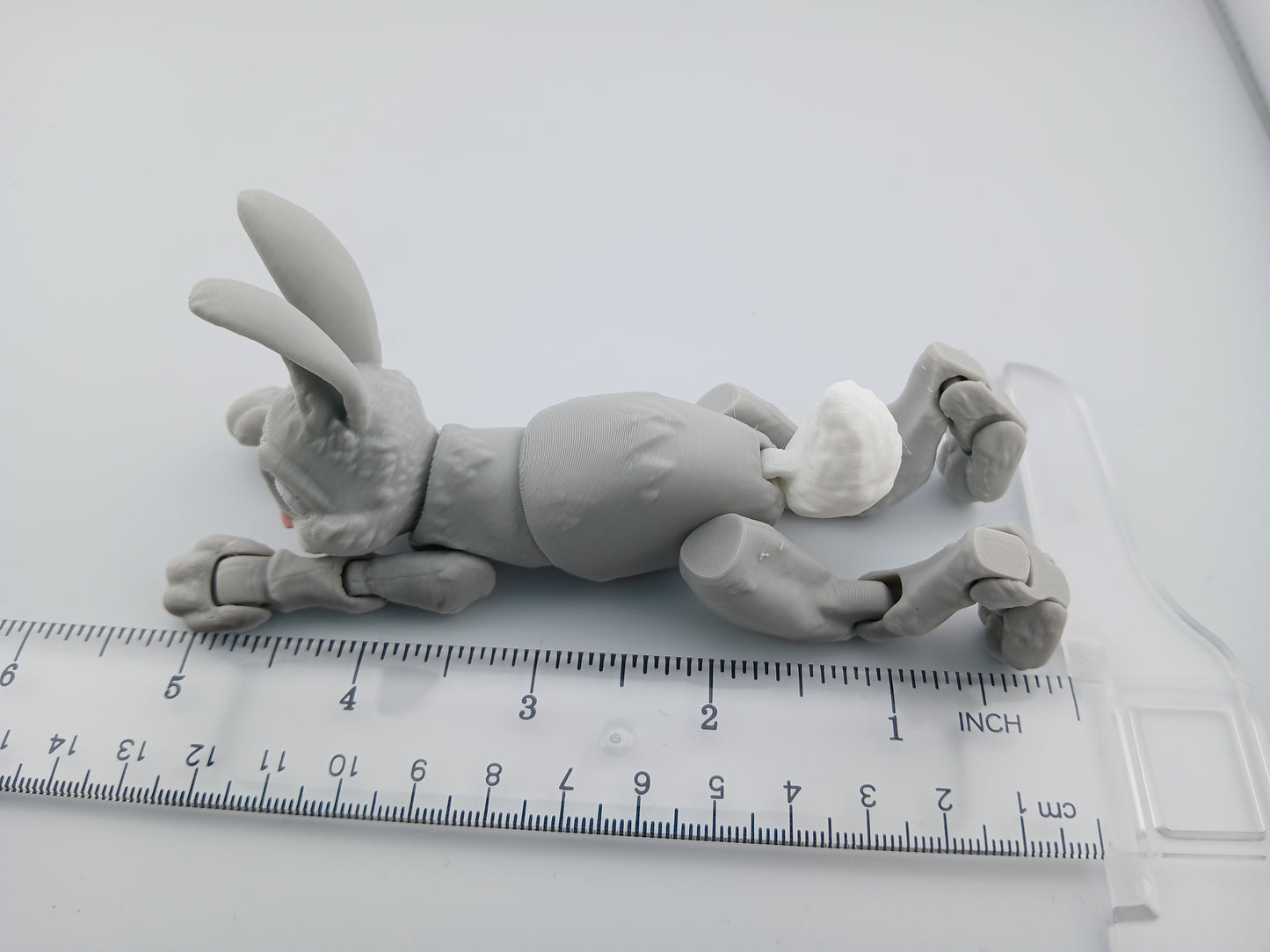 Bunny Rabbit