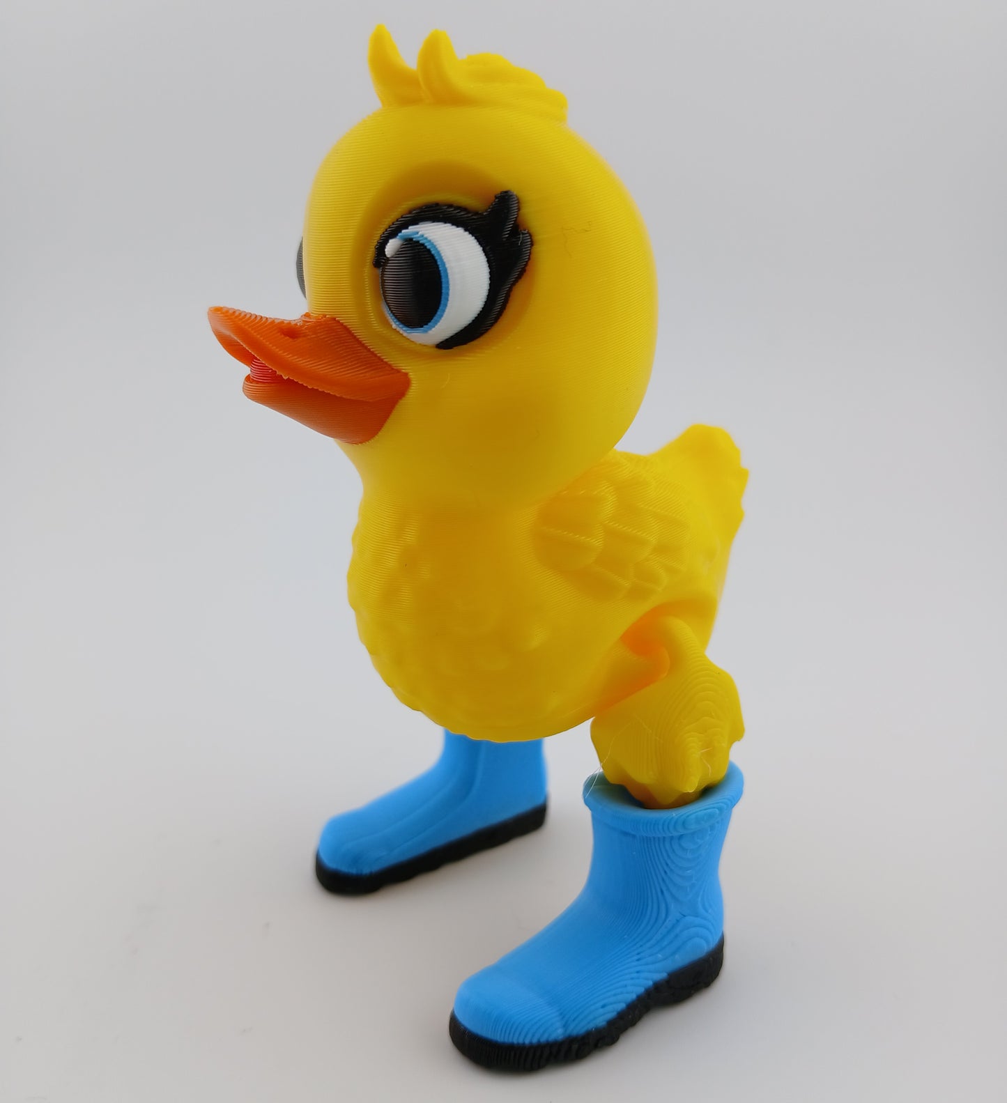 Duck in Rainboots