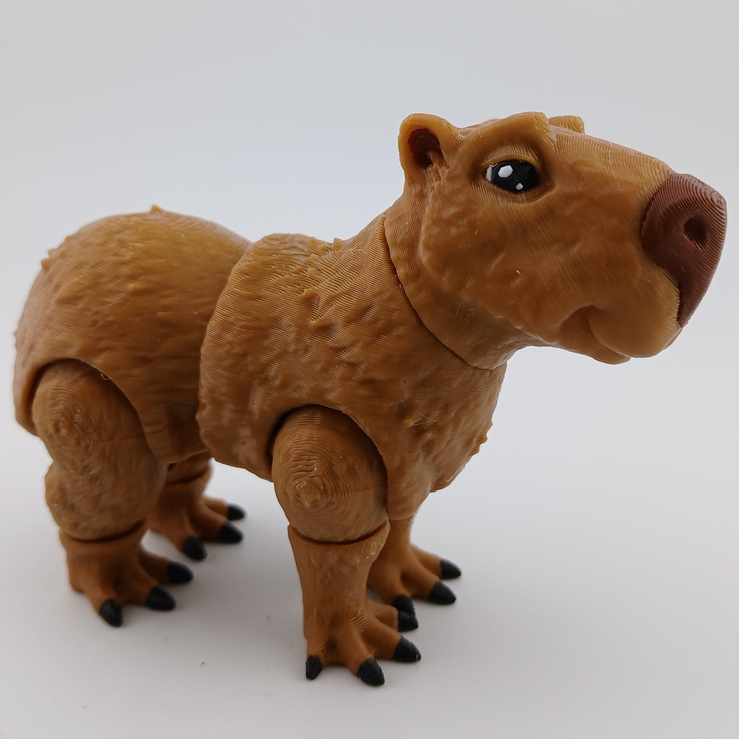 Capybara