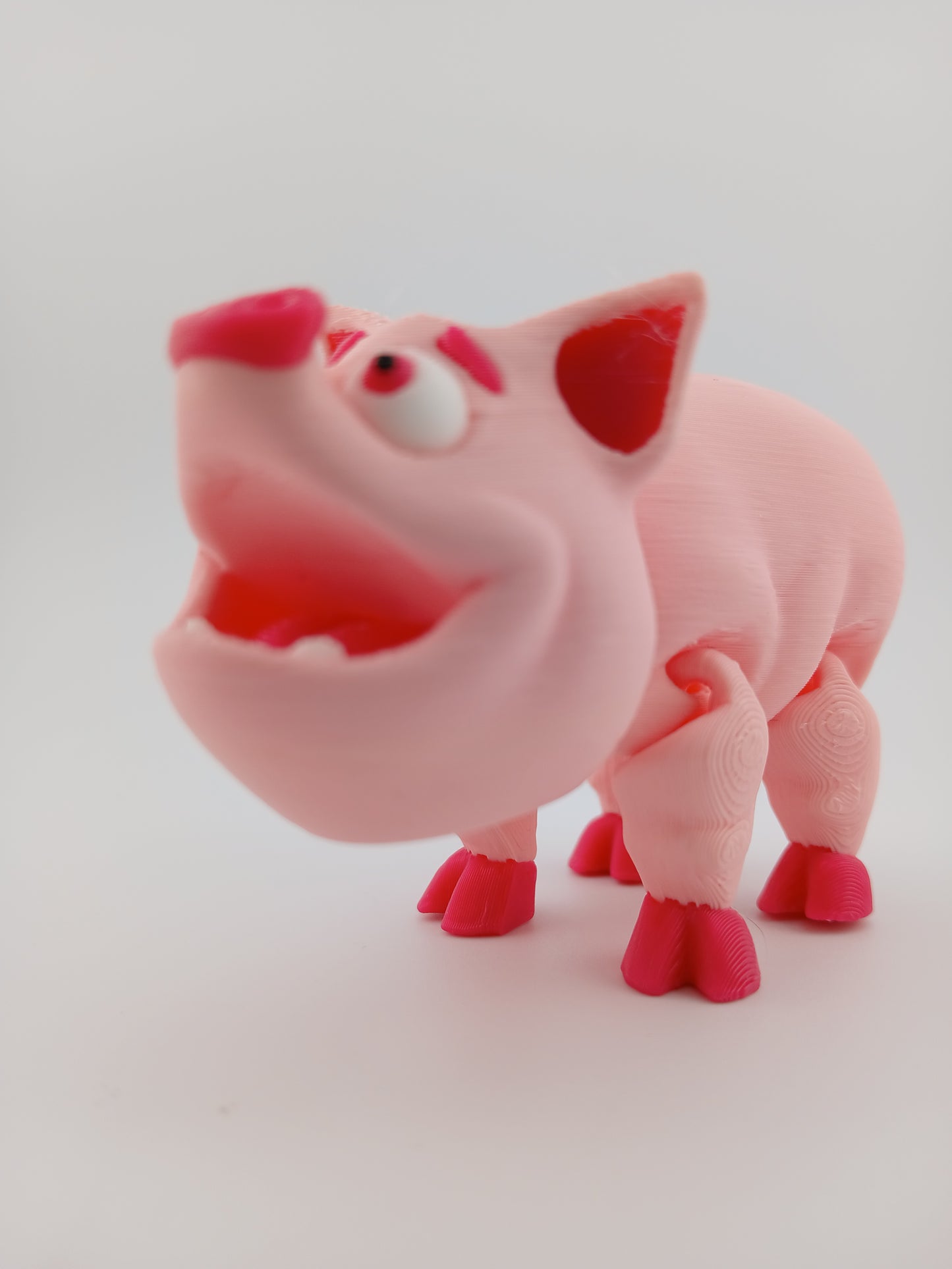 Pig