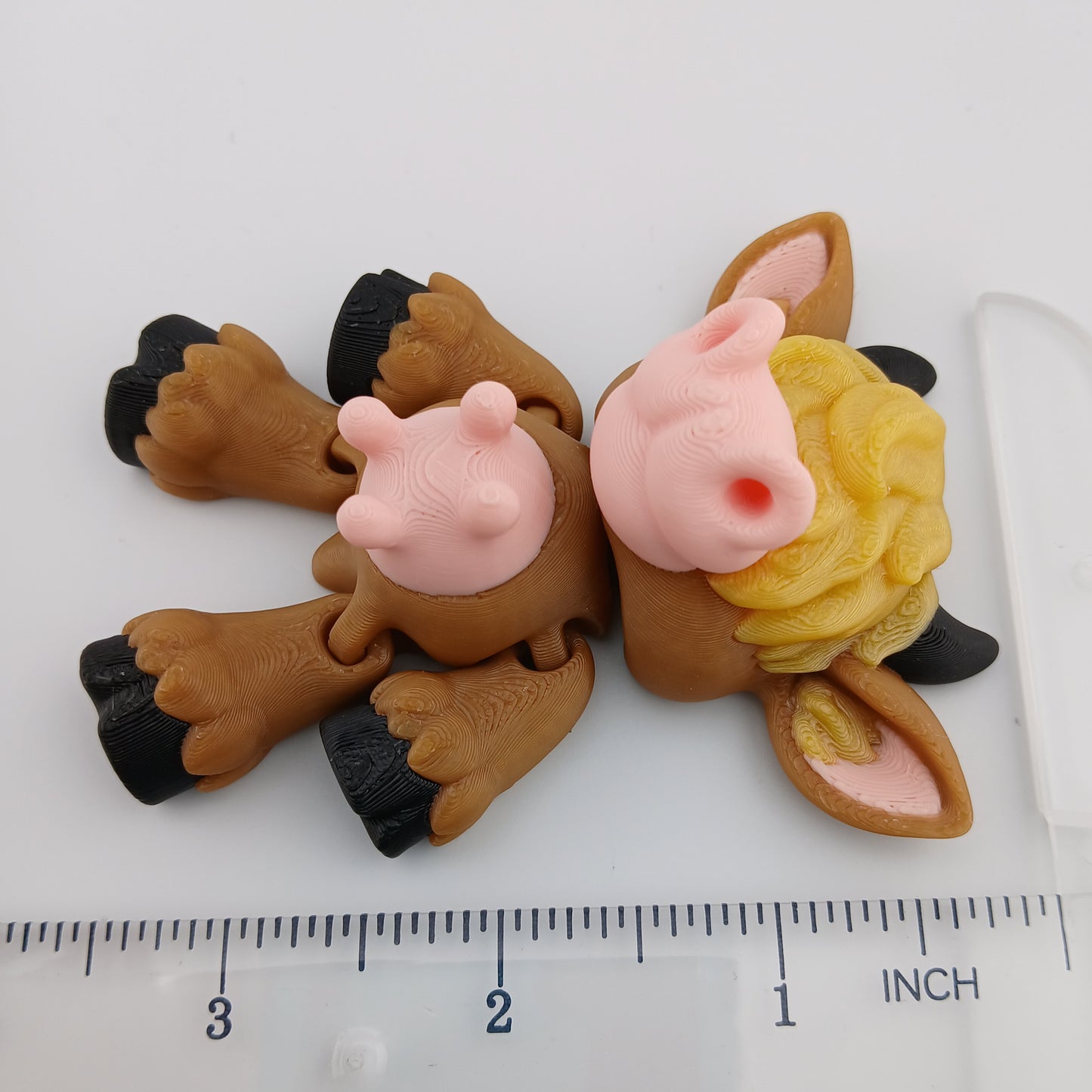 Little Highland Cow