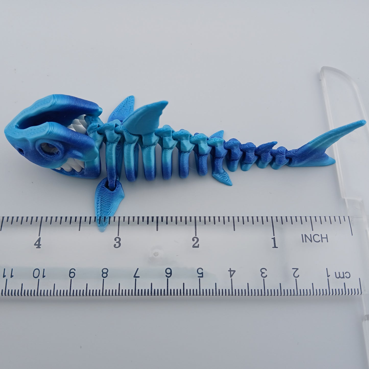 Skeleton Shark