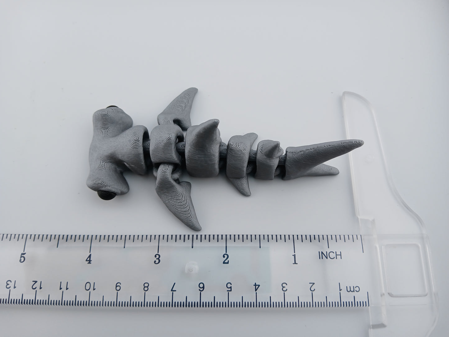 Baby Hammerhead