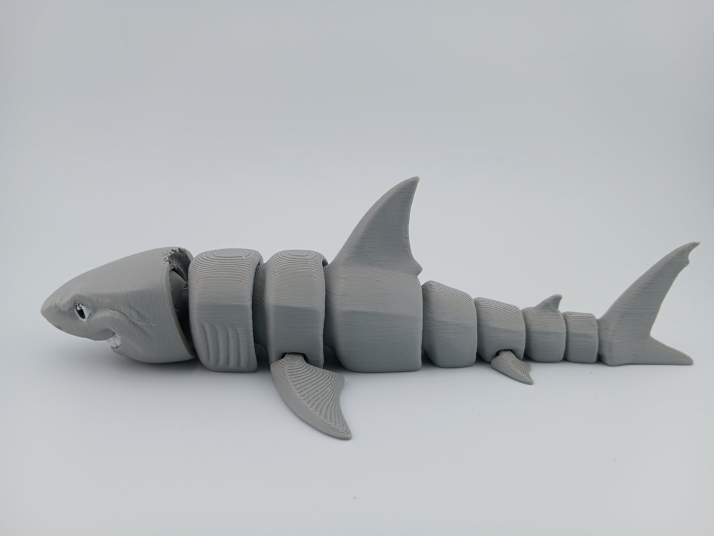 Great White Shark