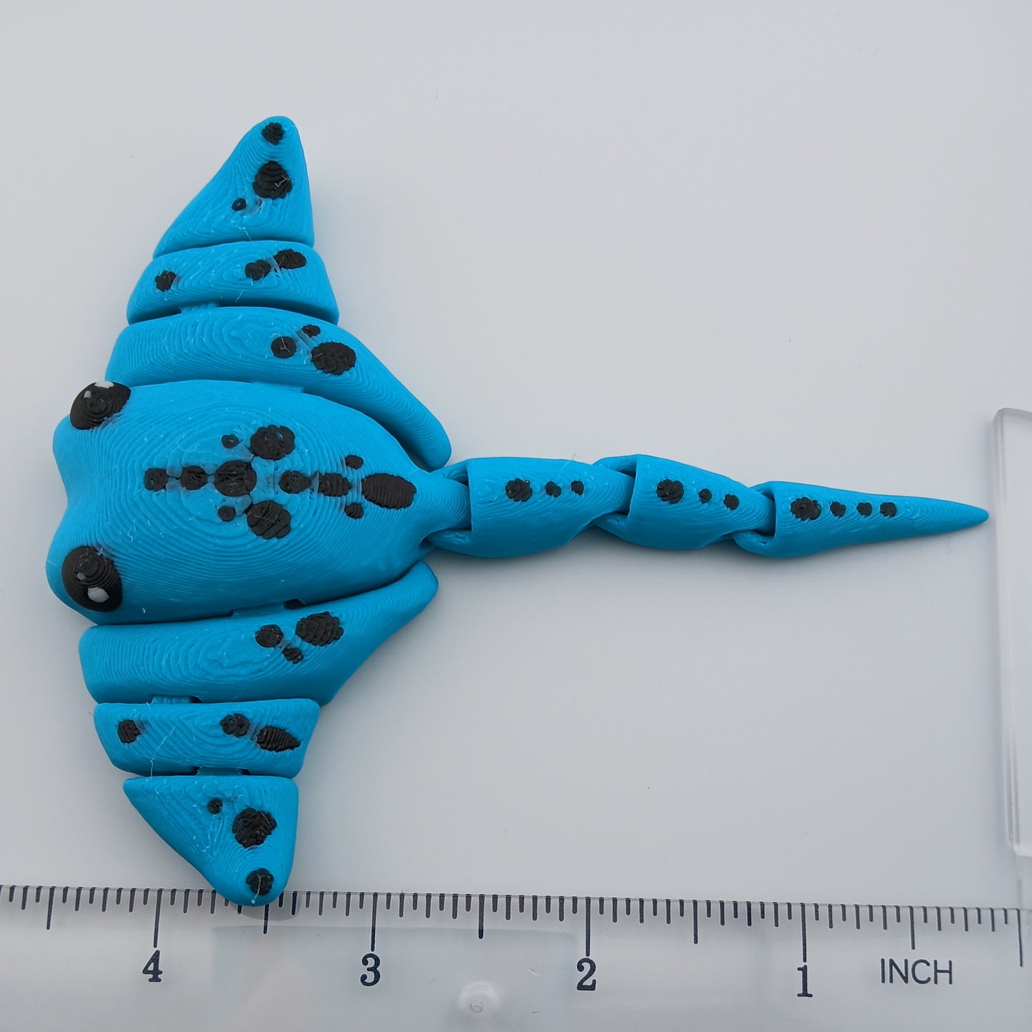 Stingray