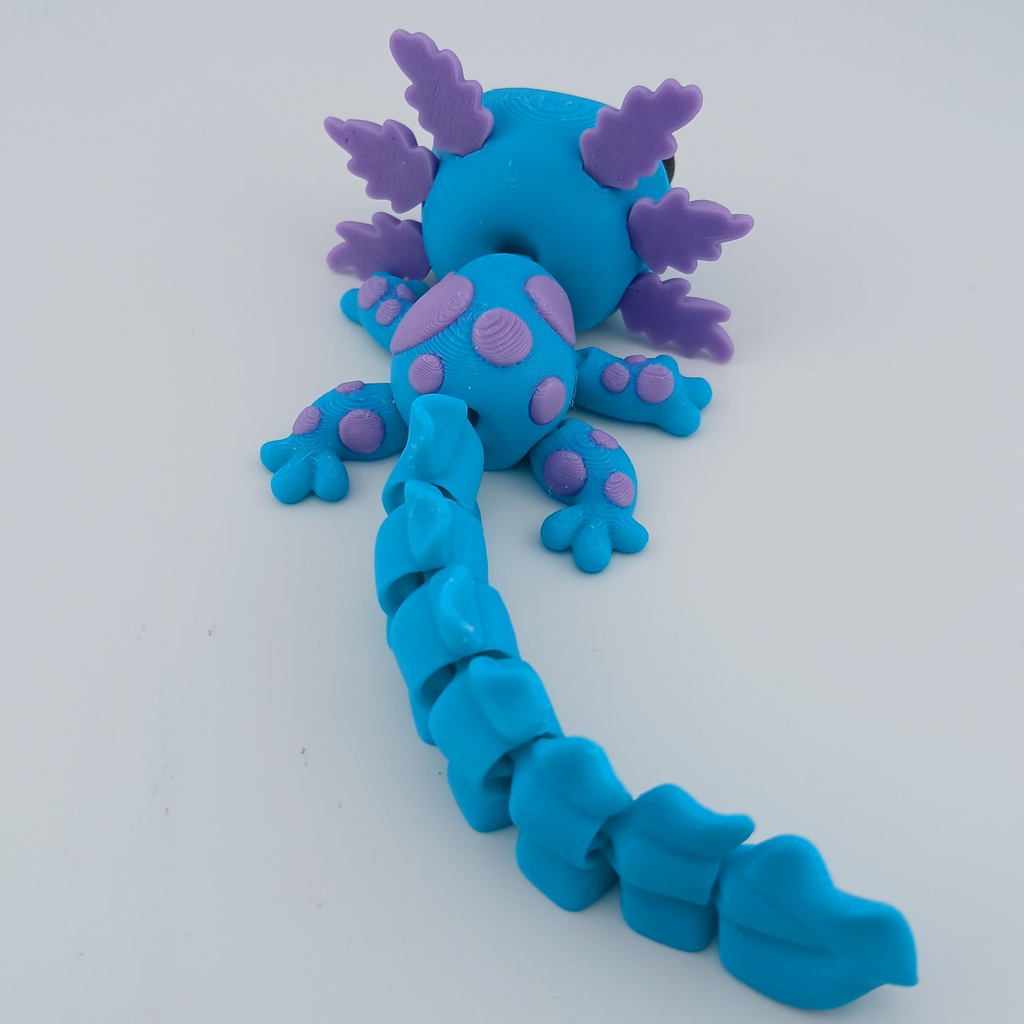 Spotted Axolotl