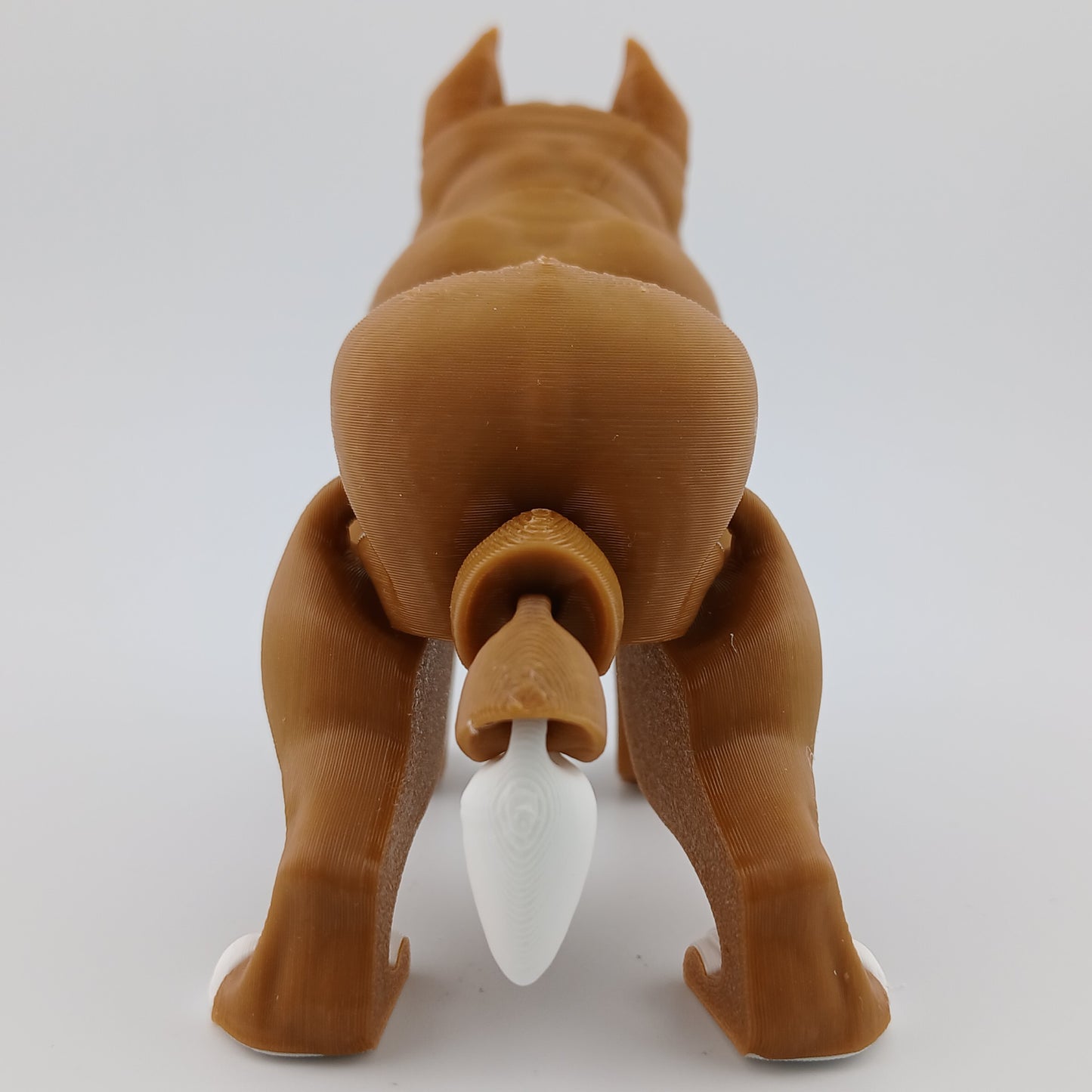 Pitbull