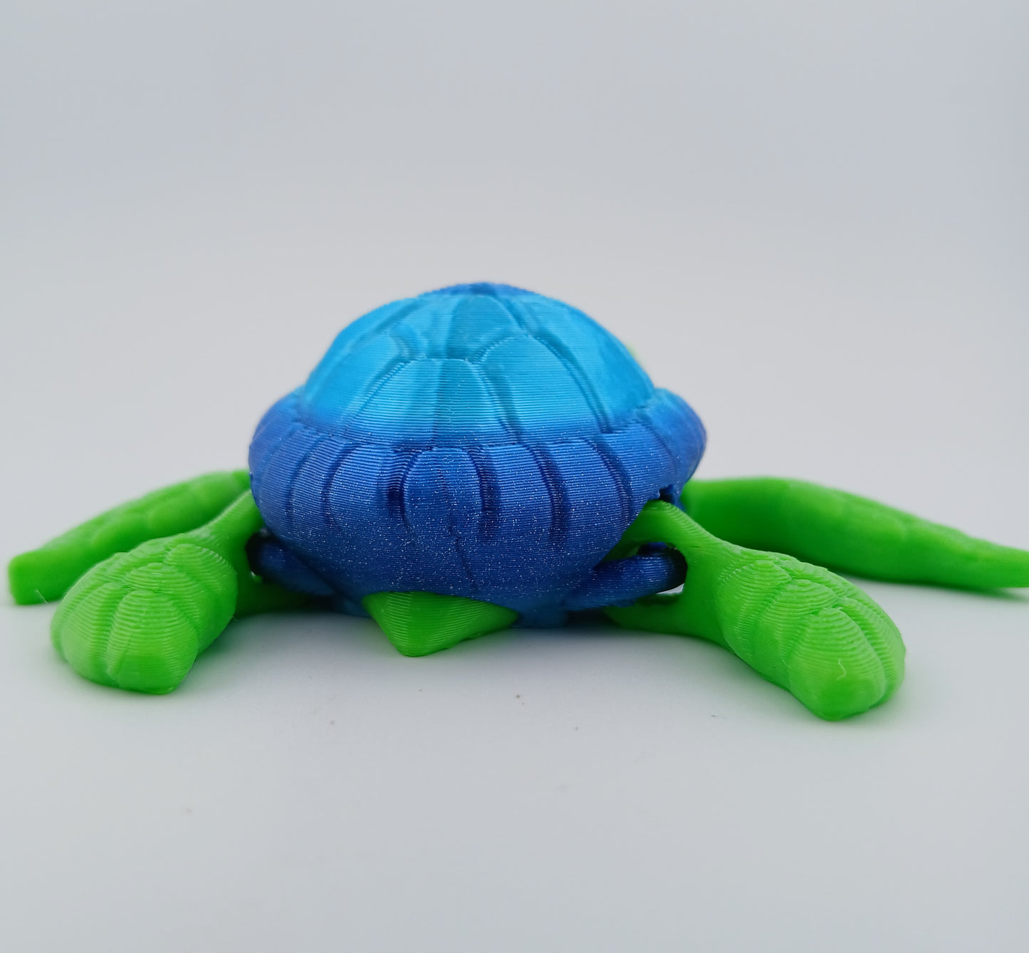 Cute Sea Turtle