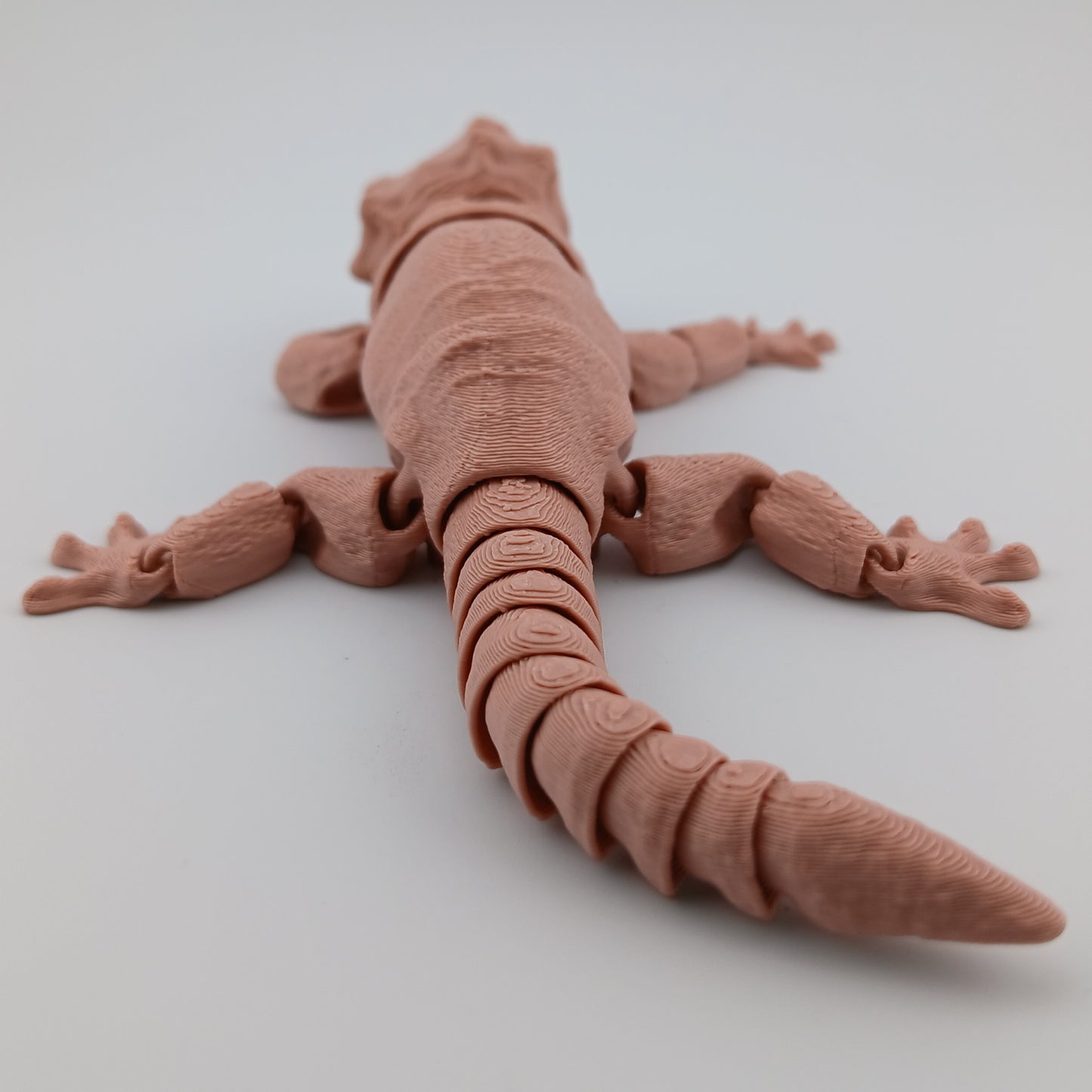 Gargoyle Gecko