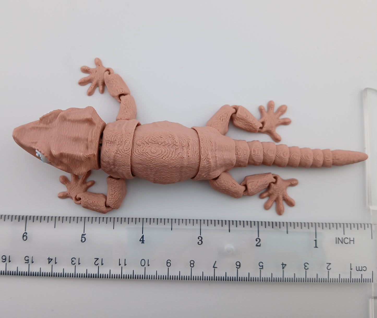 Gargoyle Gecko