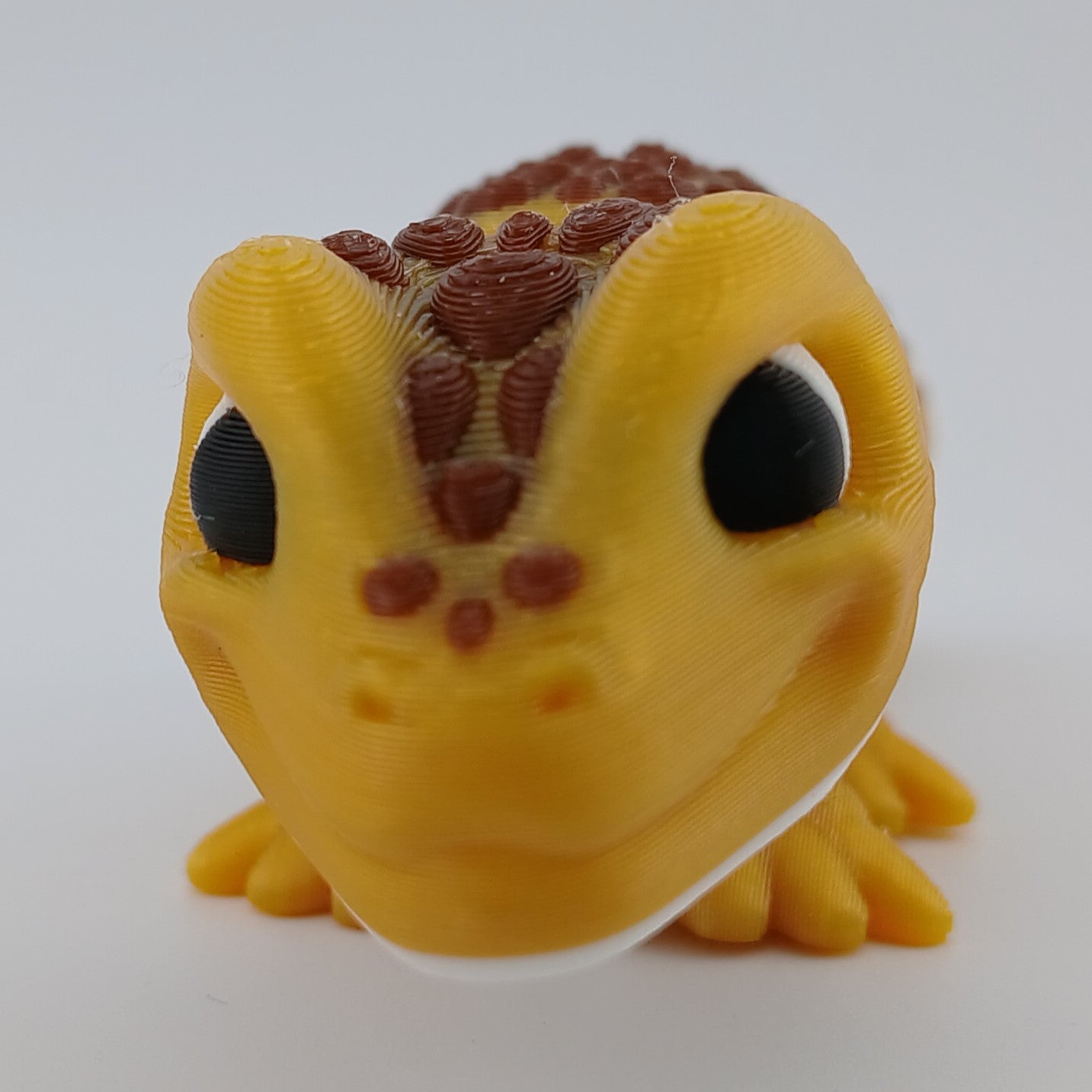 Leopard Gecko
