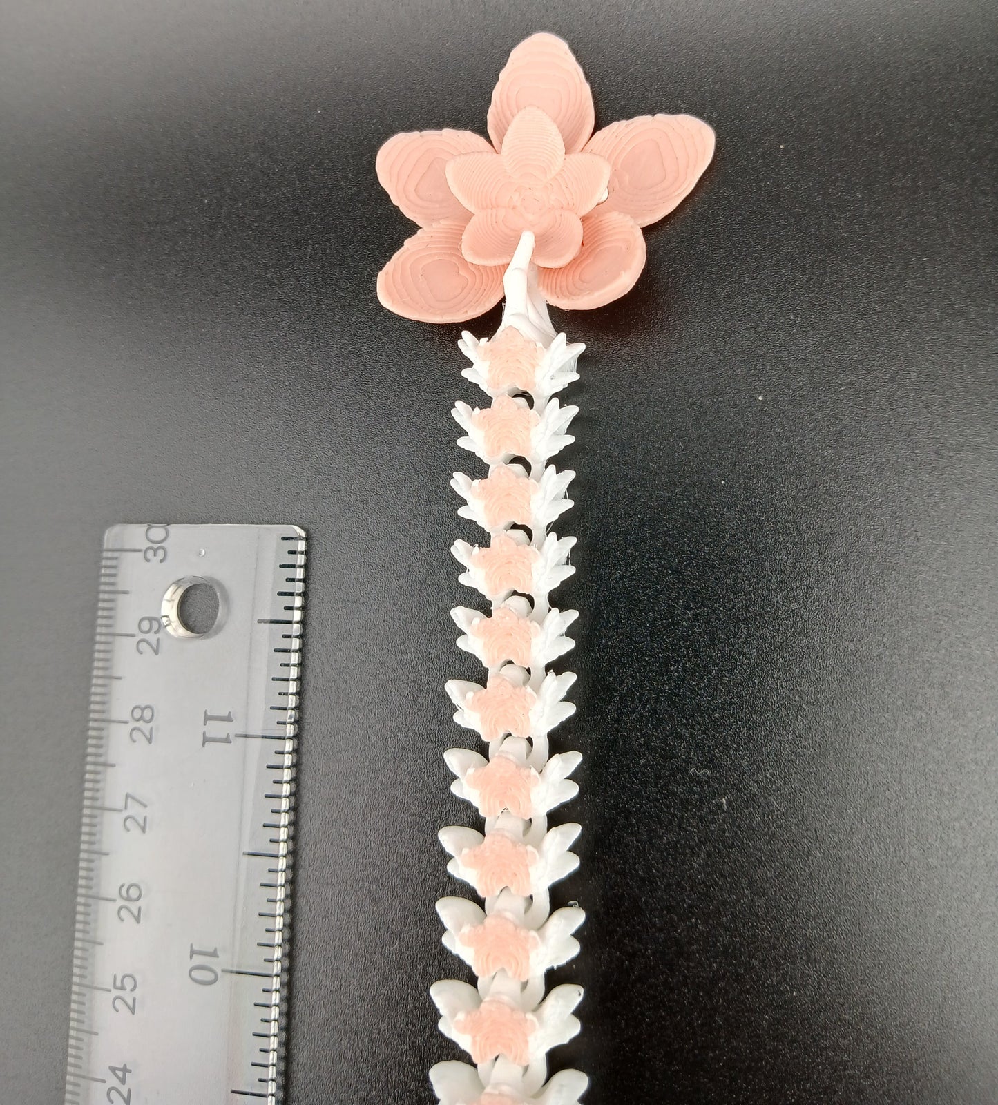 Cherry Blossom Dragon