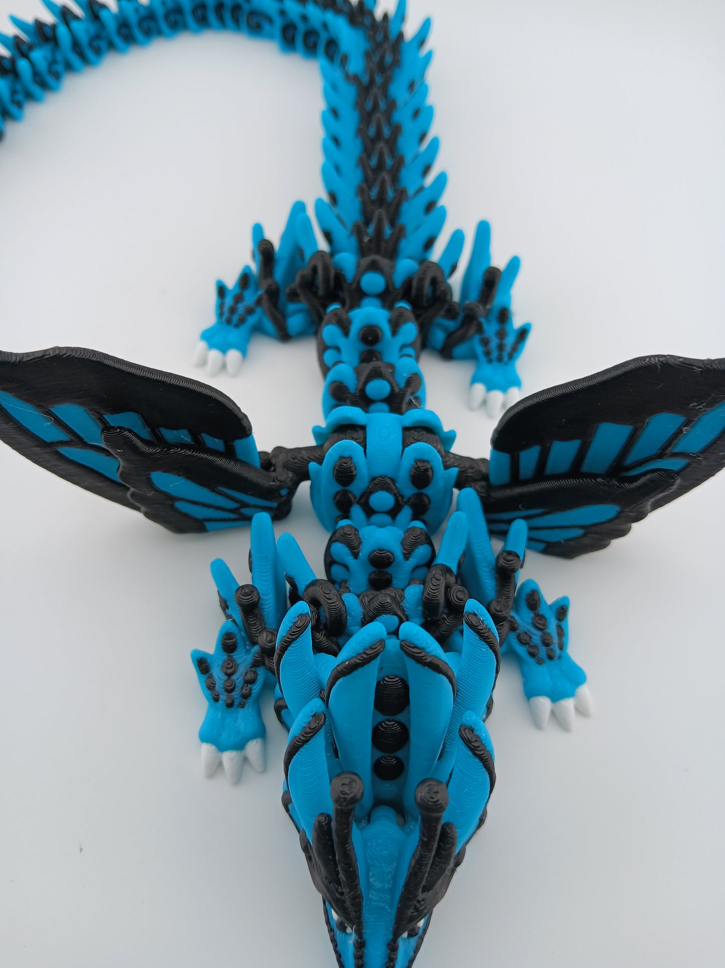 Butterfly Wing Dragon 2