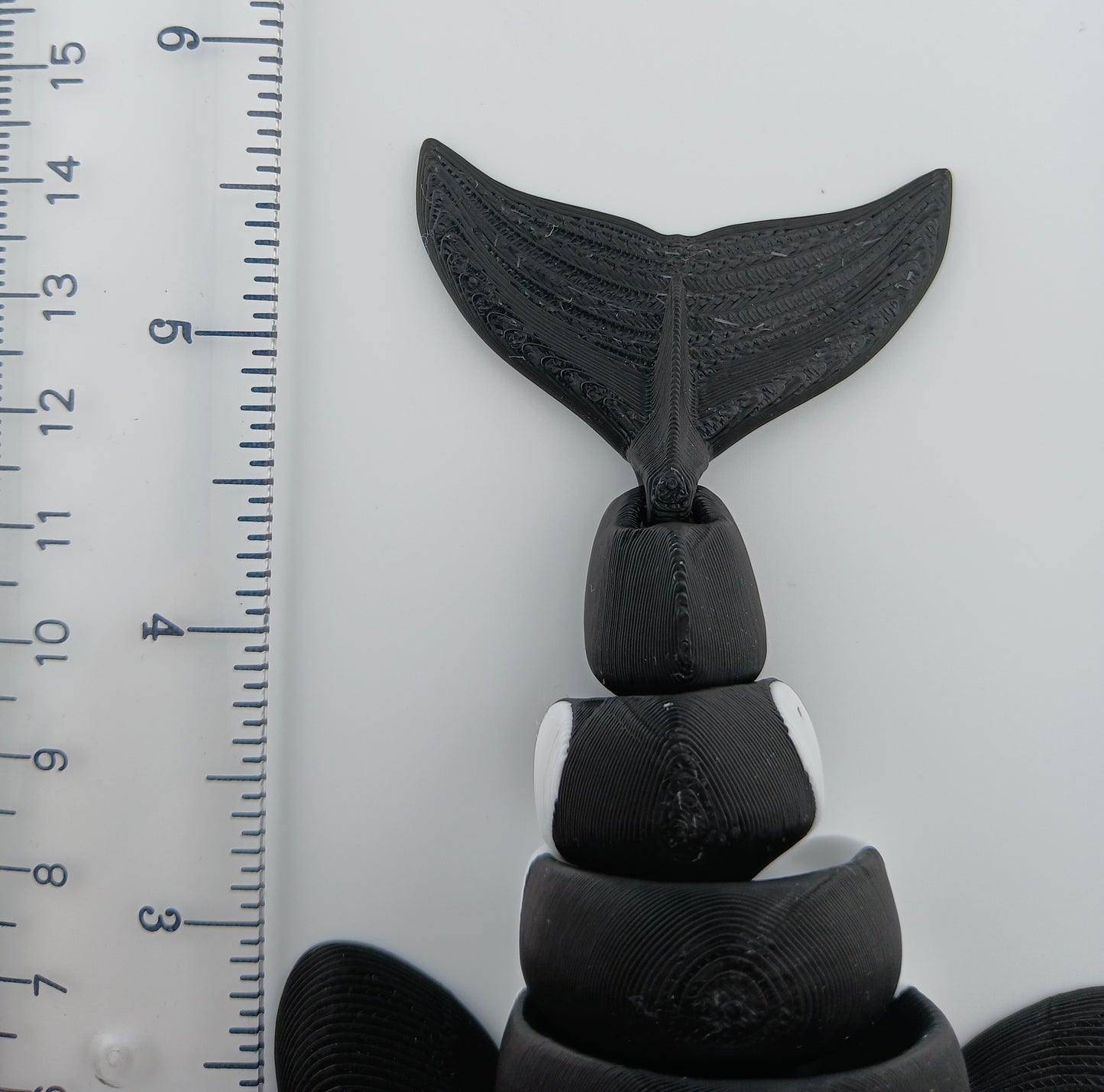 Orca