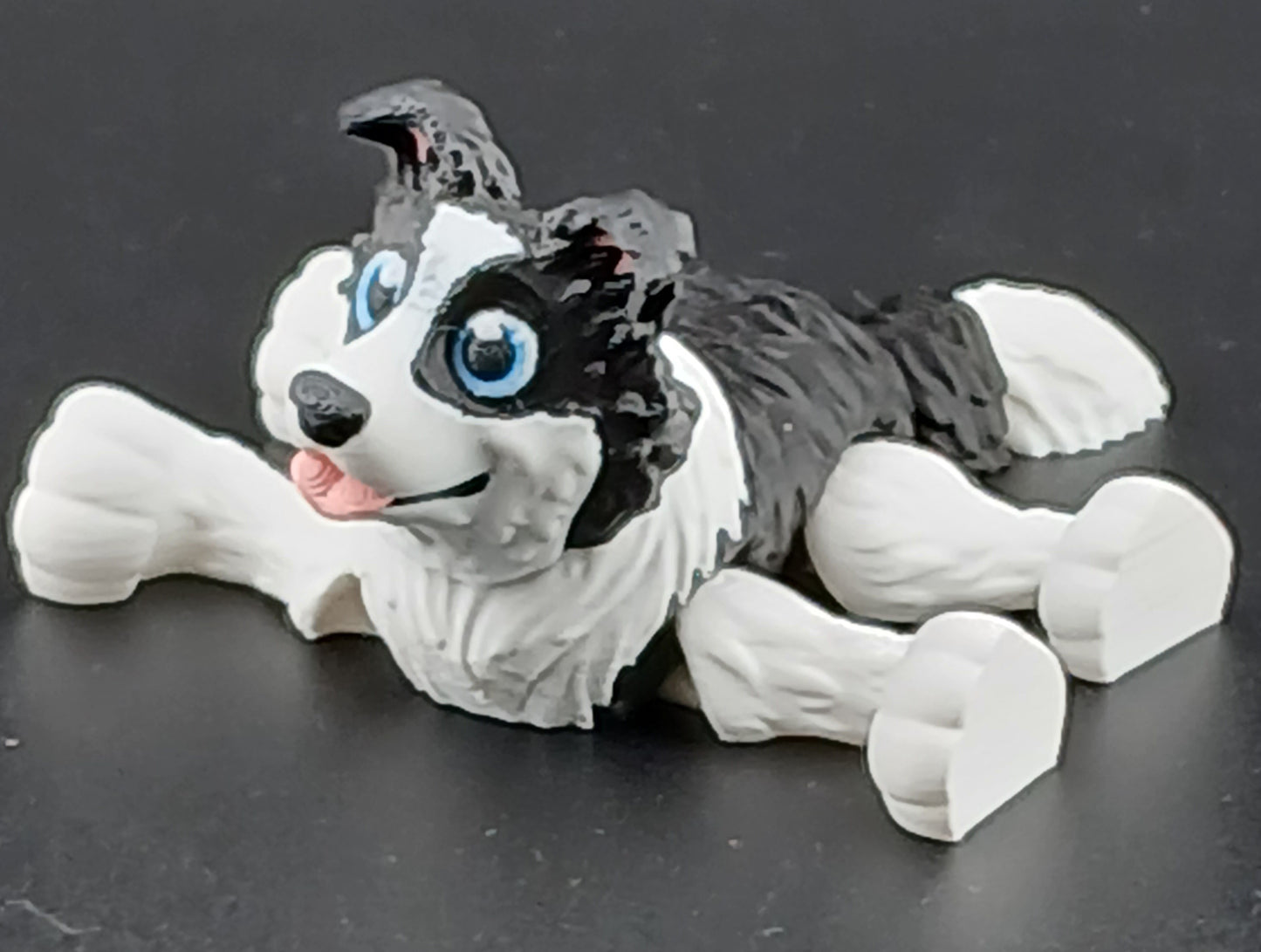 Border Collie