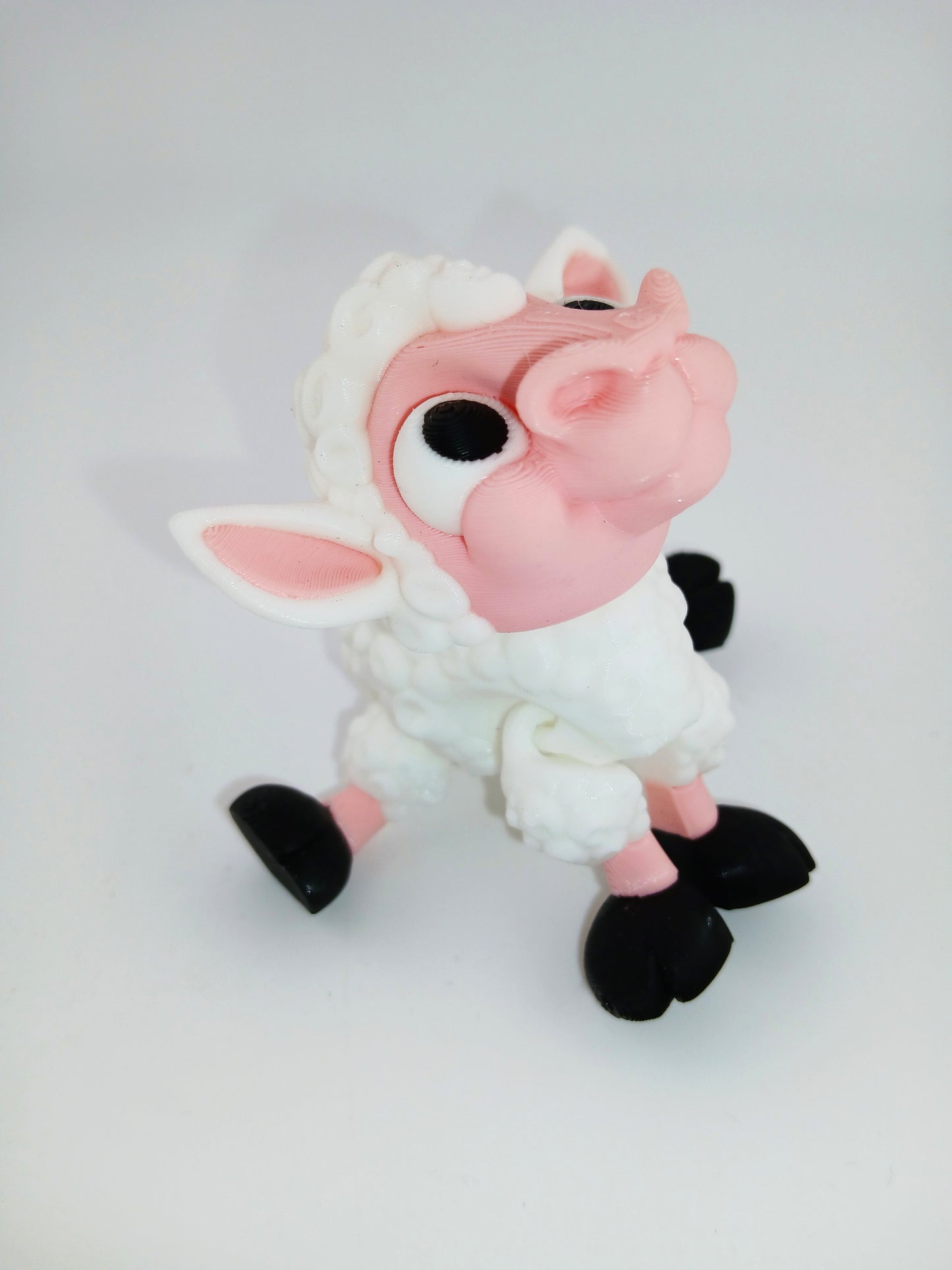 Cute Lamb