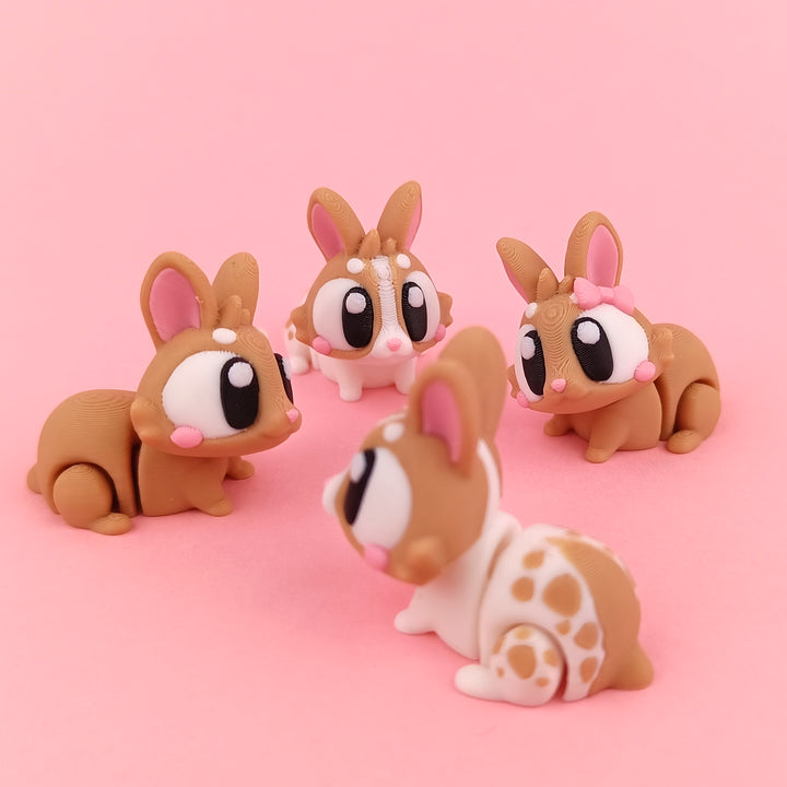 Big Eyed Bunny
