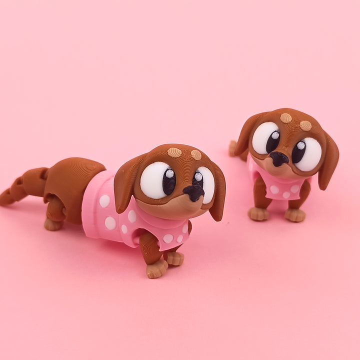 Big Eyed Daschund