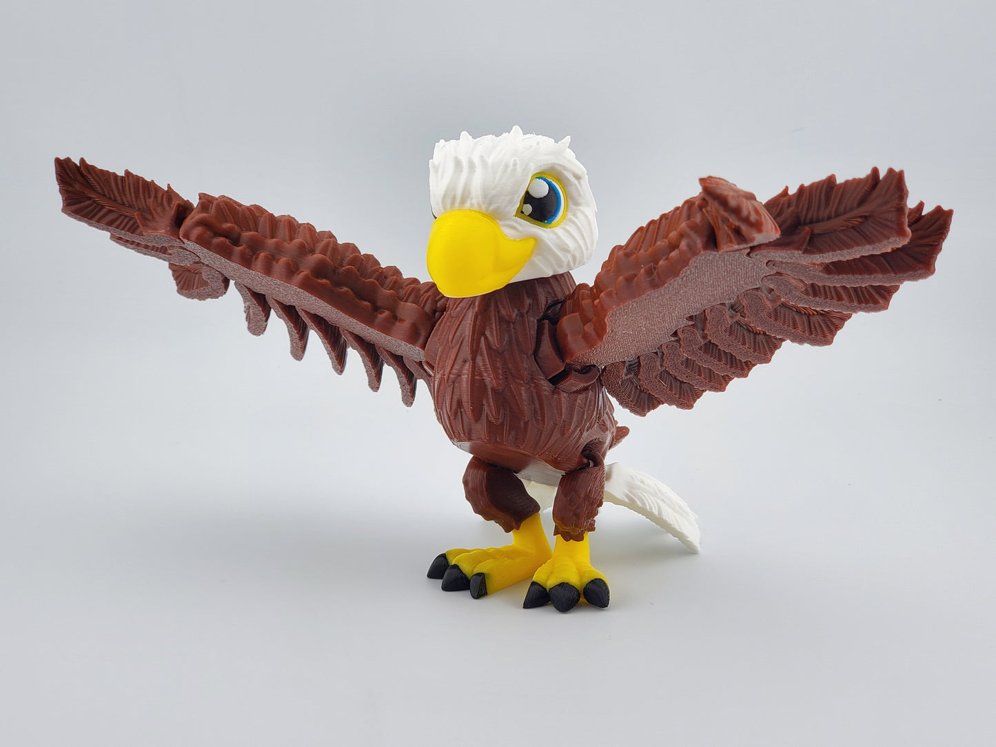 Bald Eagle