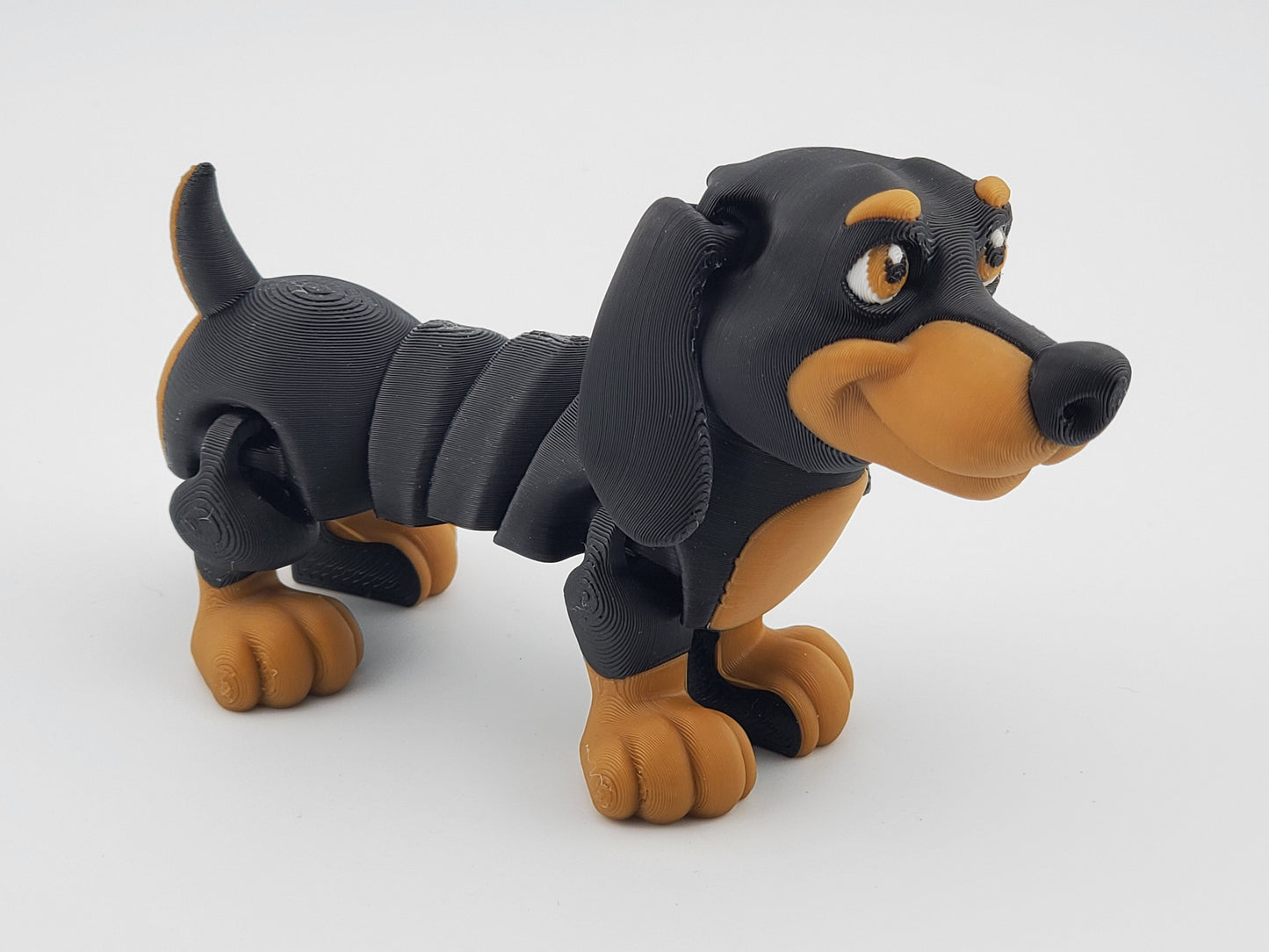 Dachshund