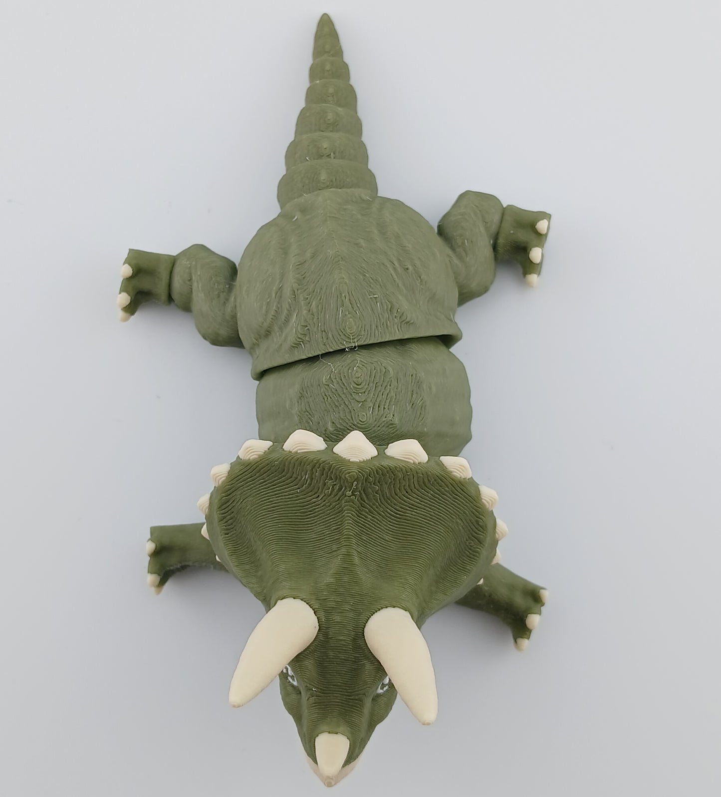 Triceratops