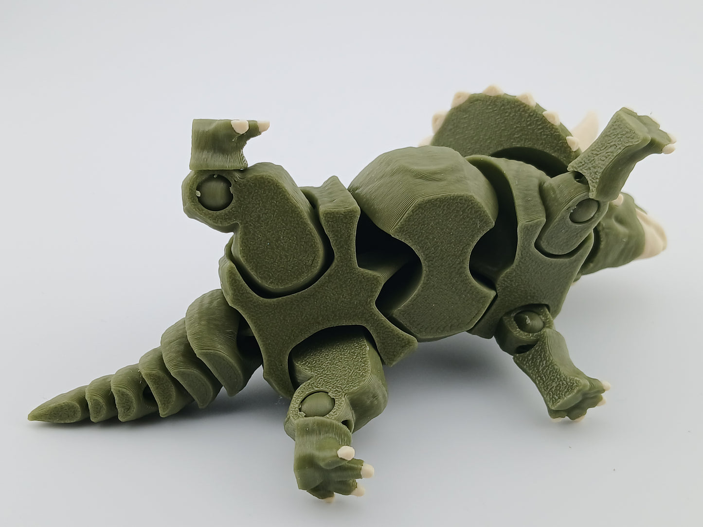 Triceratops