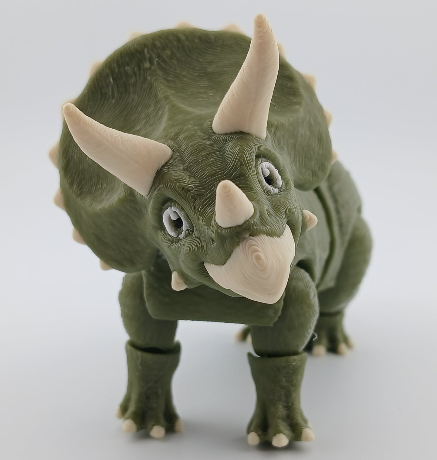 Triceratops