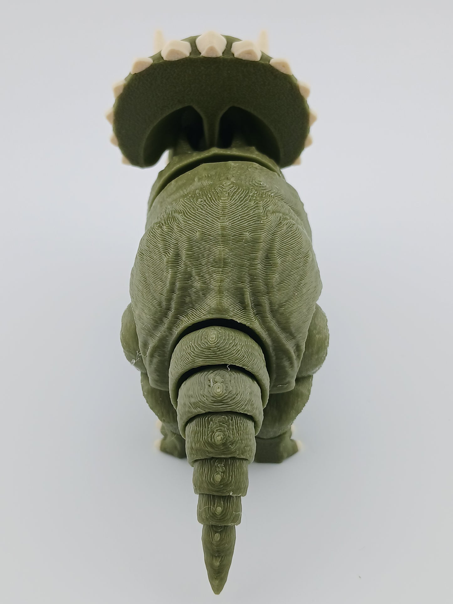Triceratops