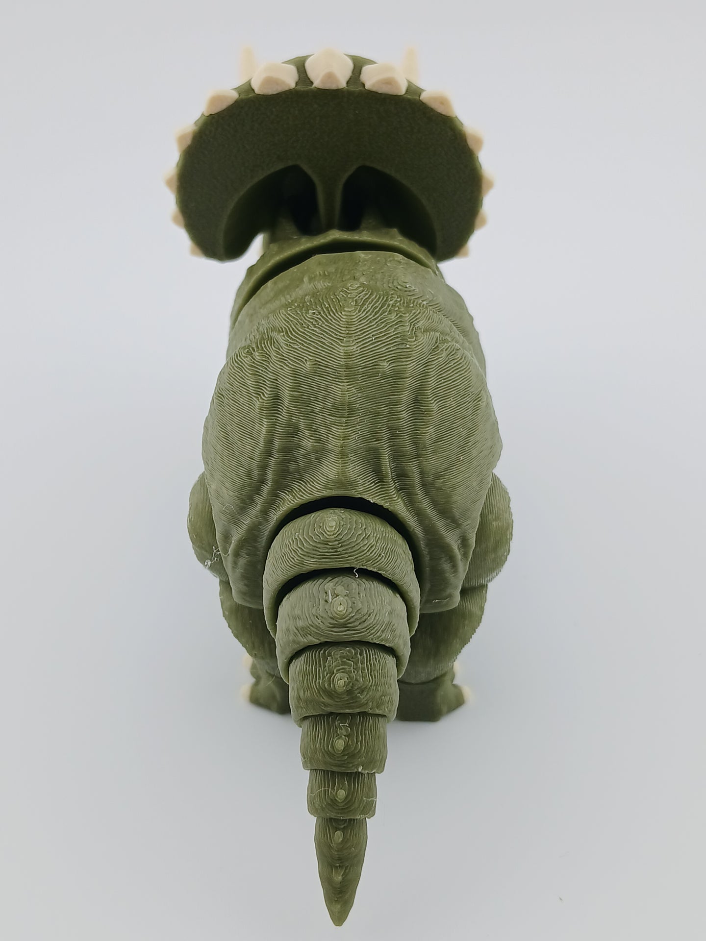 Triceratops