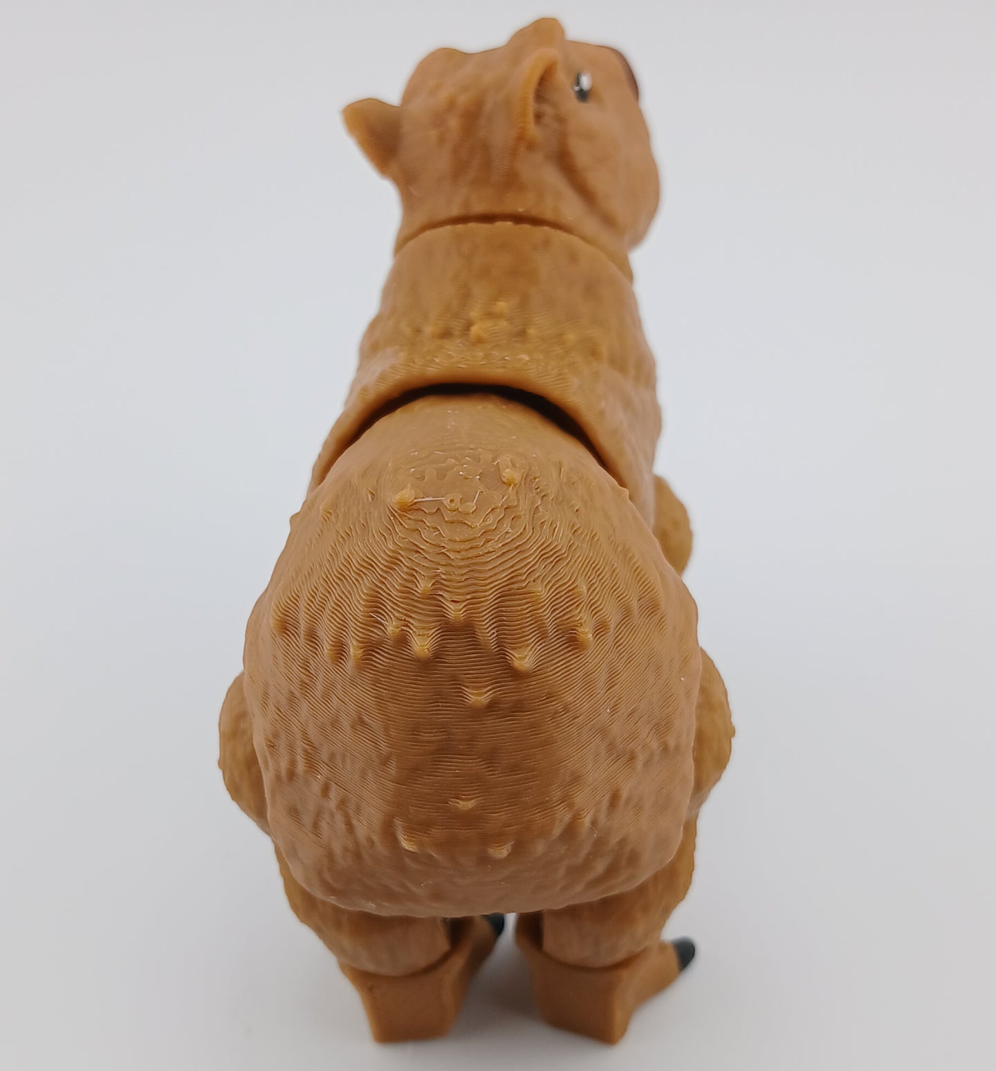 Capybara