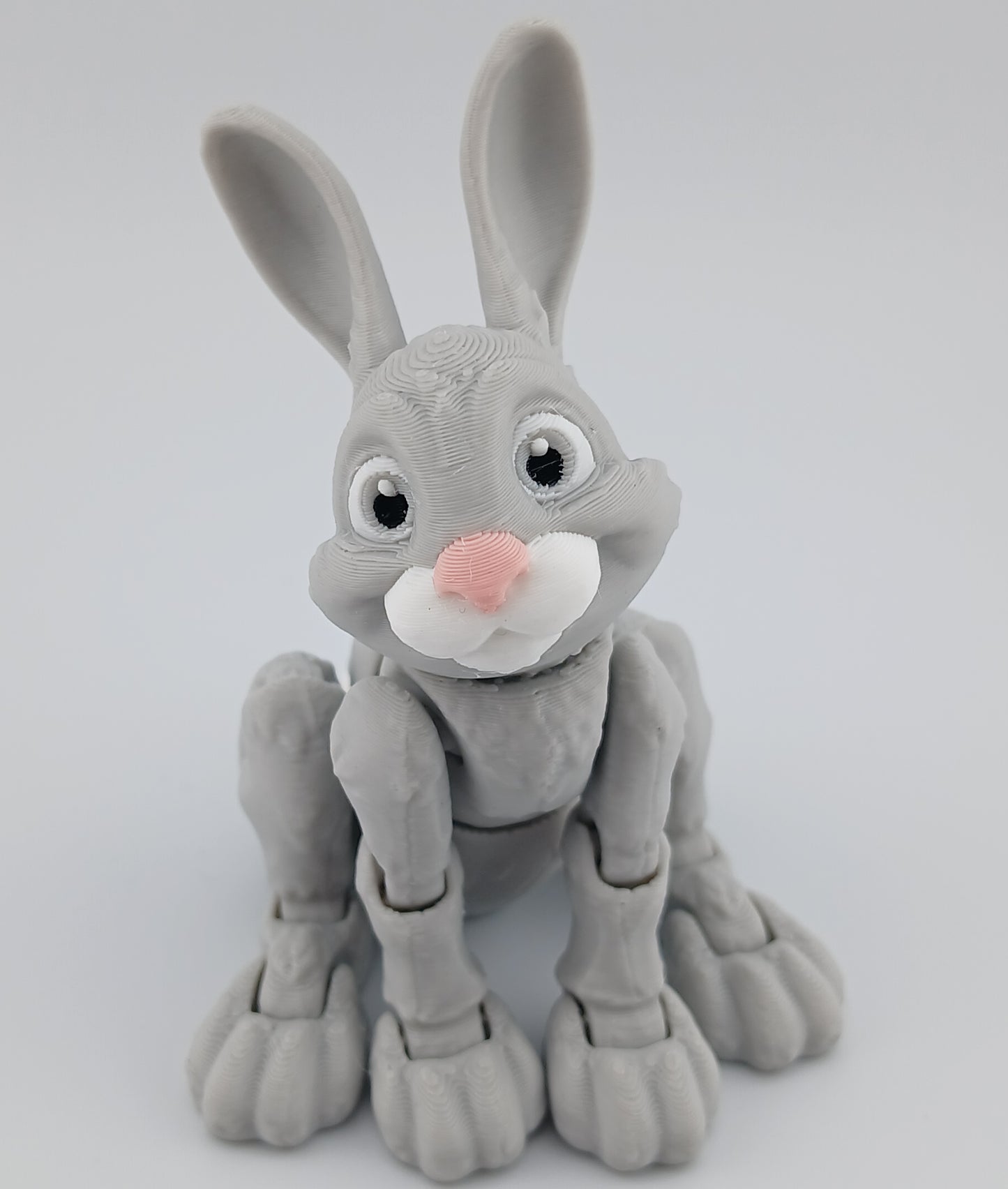 Bunny Rabbit
