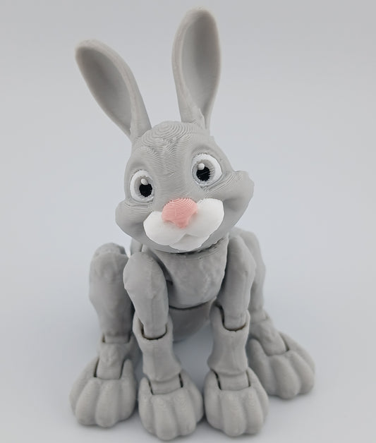 Bunny Rabbit