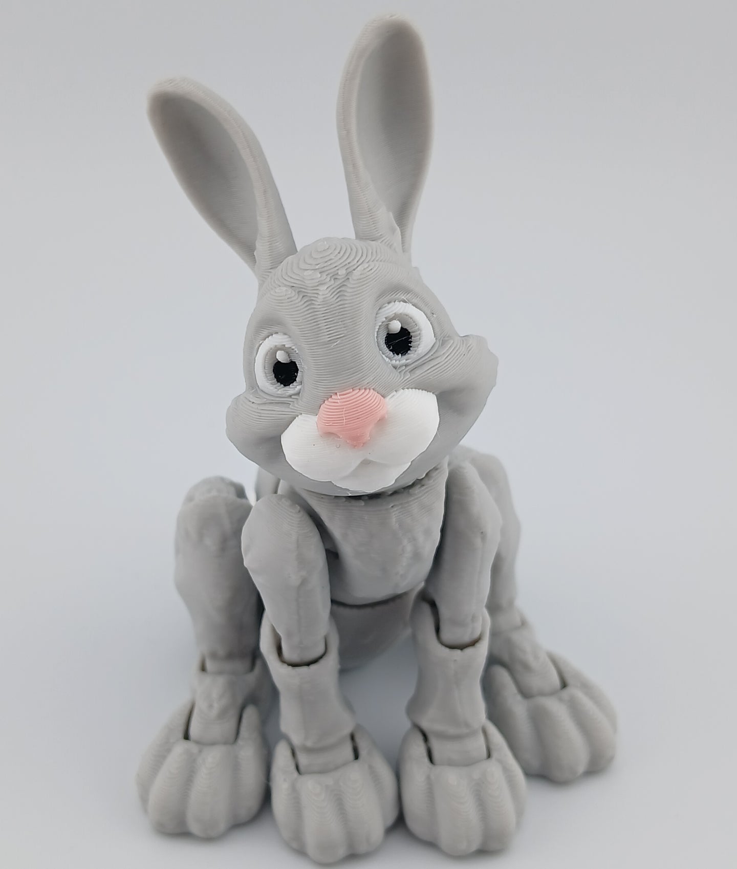 Bunny Rabbit