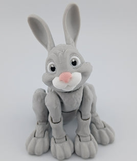 Bunny Rabbit