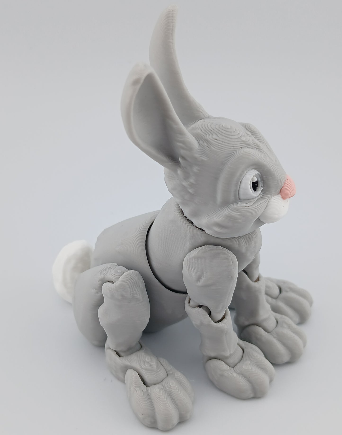 Bunny Rabbit