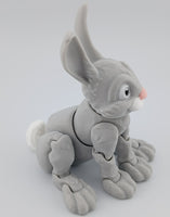 Bunny Rabbit