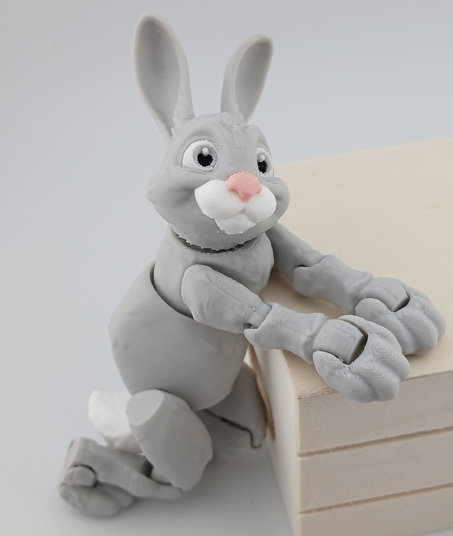 Bunny Rabbit
