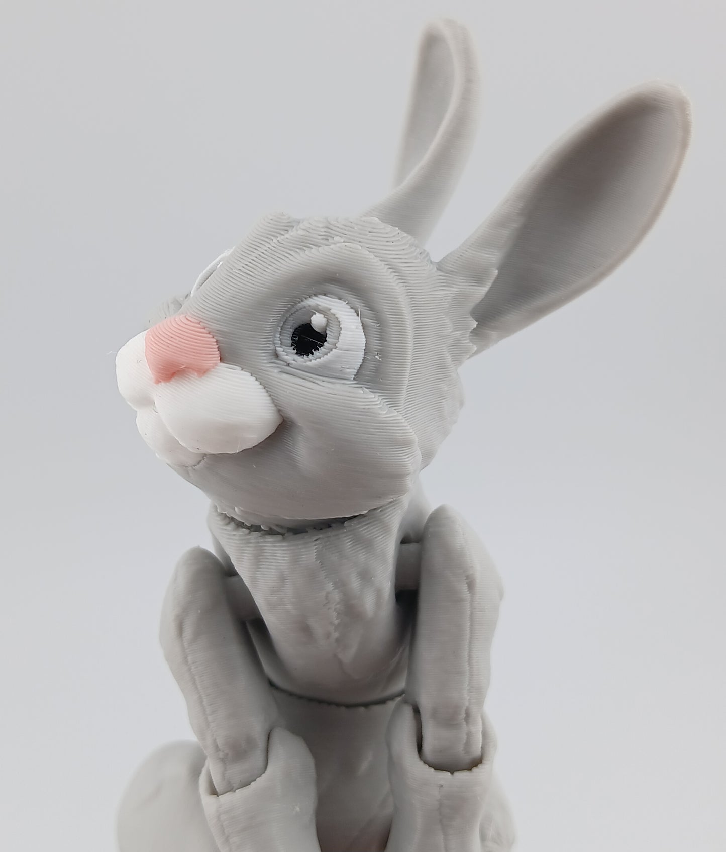 Bunny Rabbit