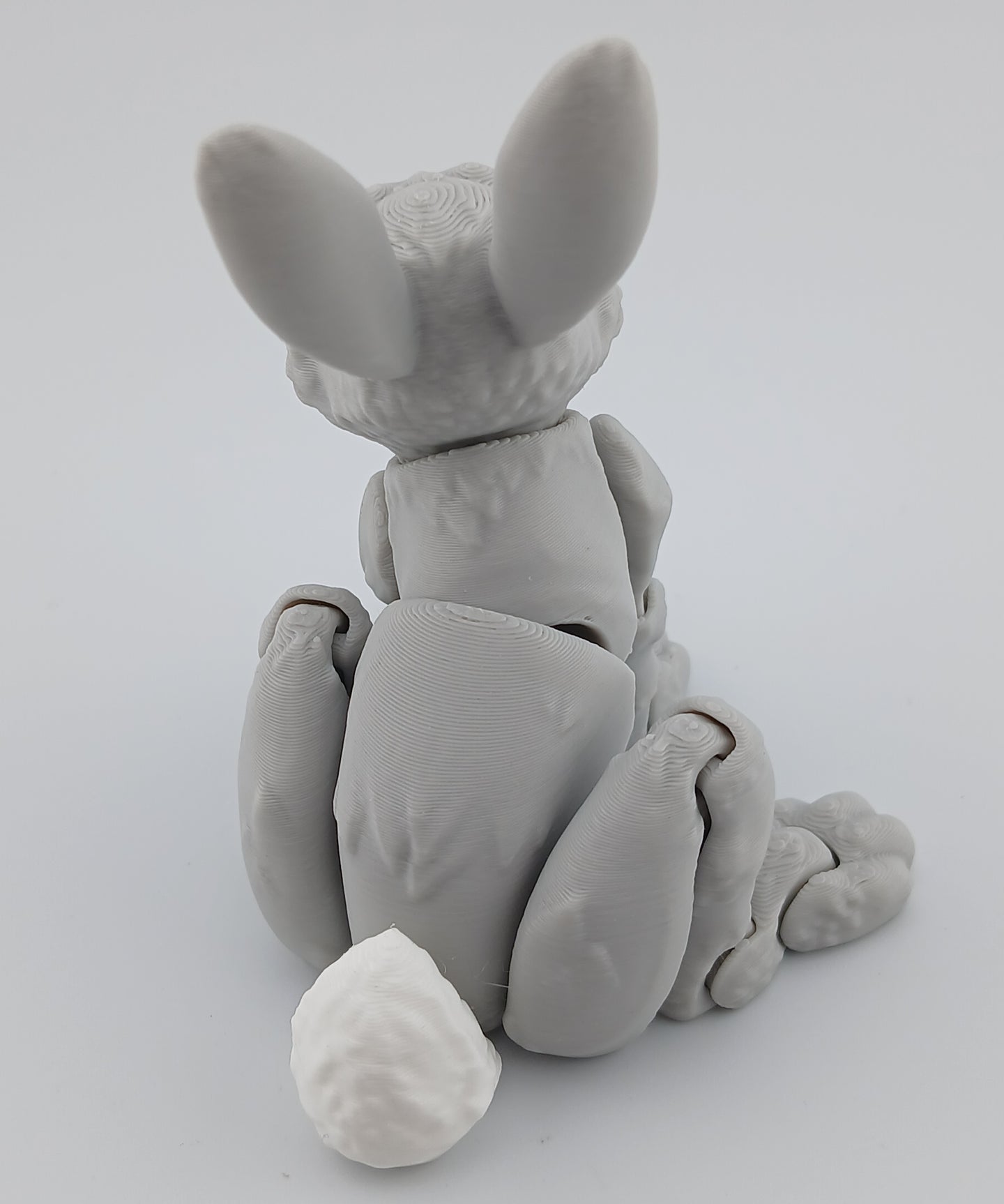 Bunny Rabbit