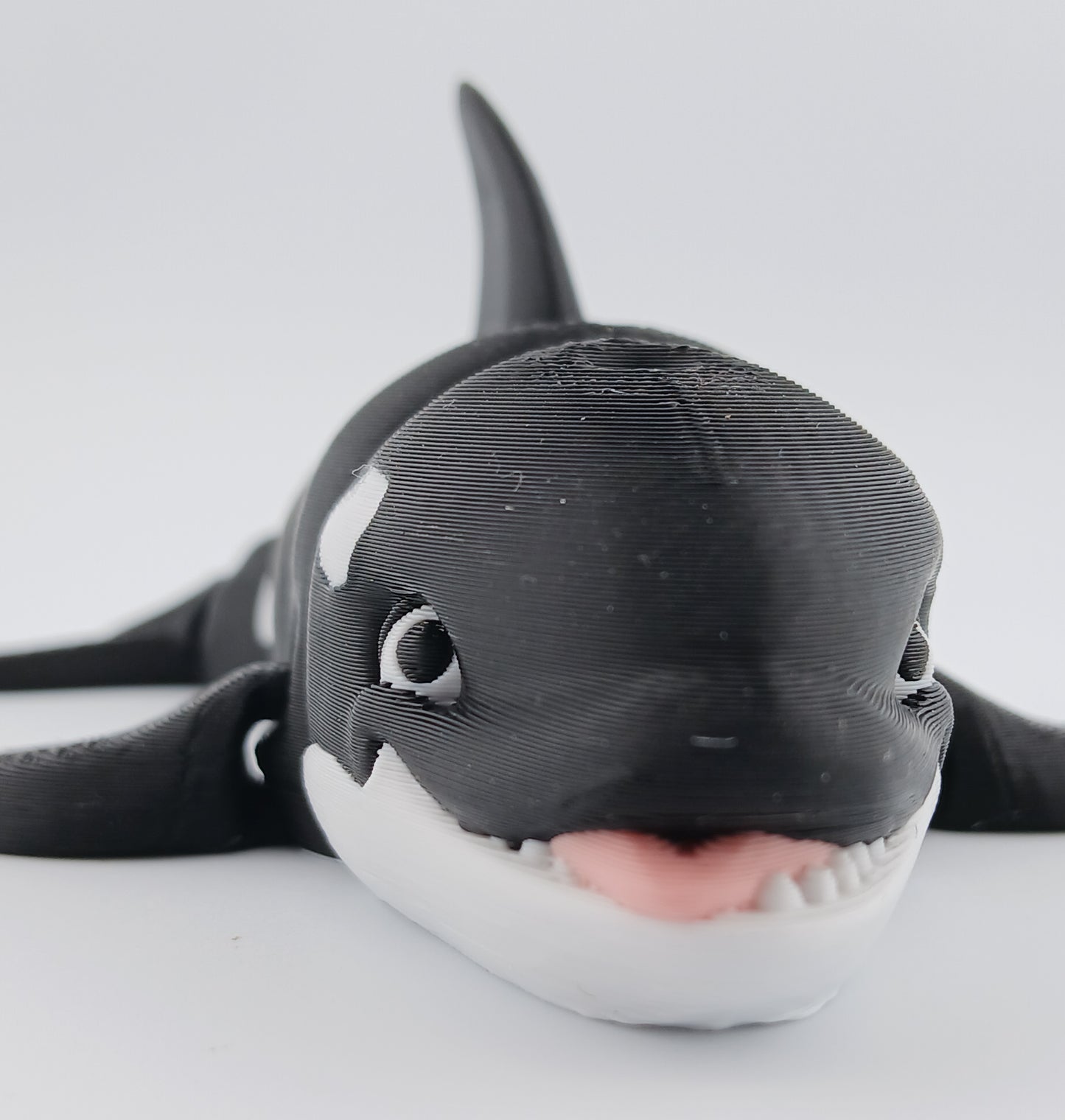 Orca