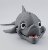 Dolphin