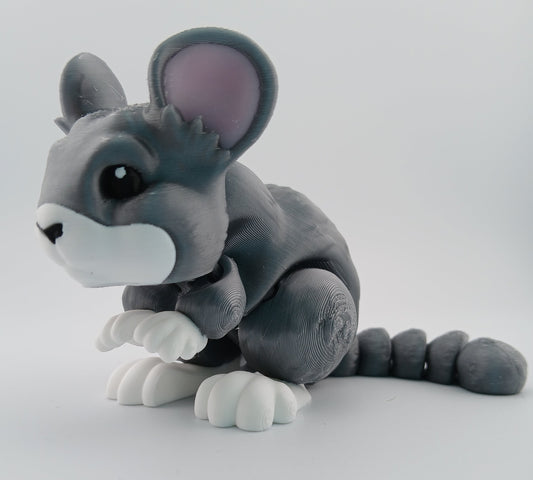 Chinchilla