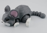 Chinchilla