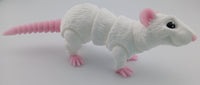Rat