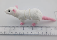 Rat