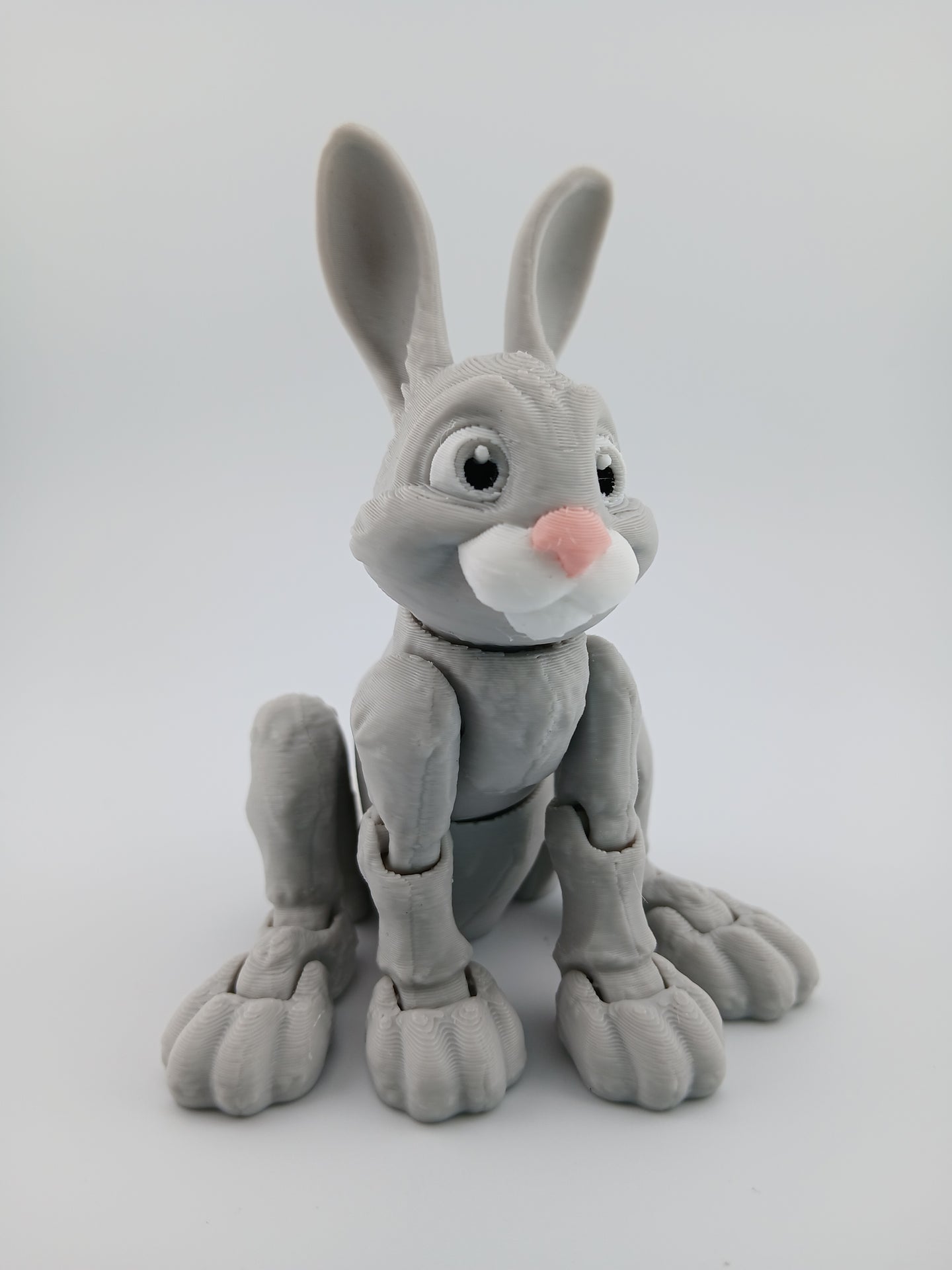 Bunny Rabbit