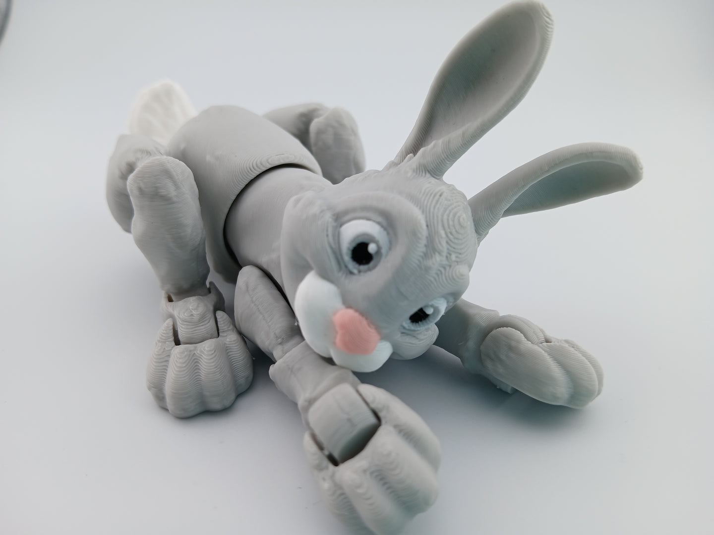 Bunny Rabbit