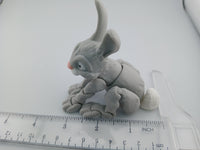Bunny Rabbit